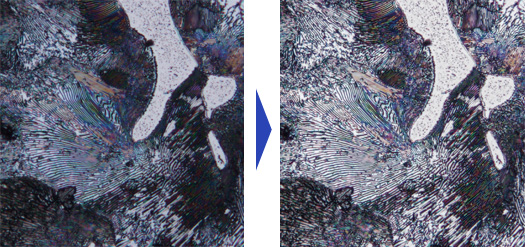 無論是暗視場影像還是DIC影像，“HDR”都可以一鍵完成清晰觀察。